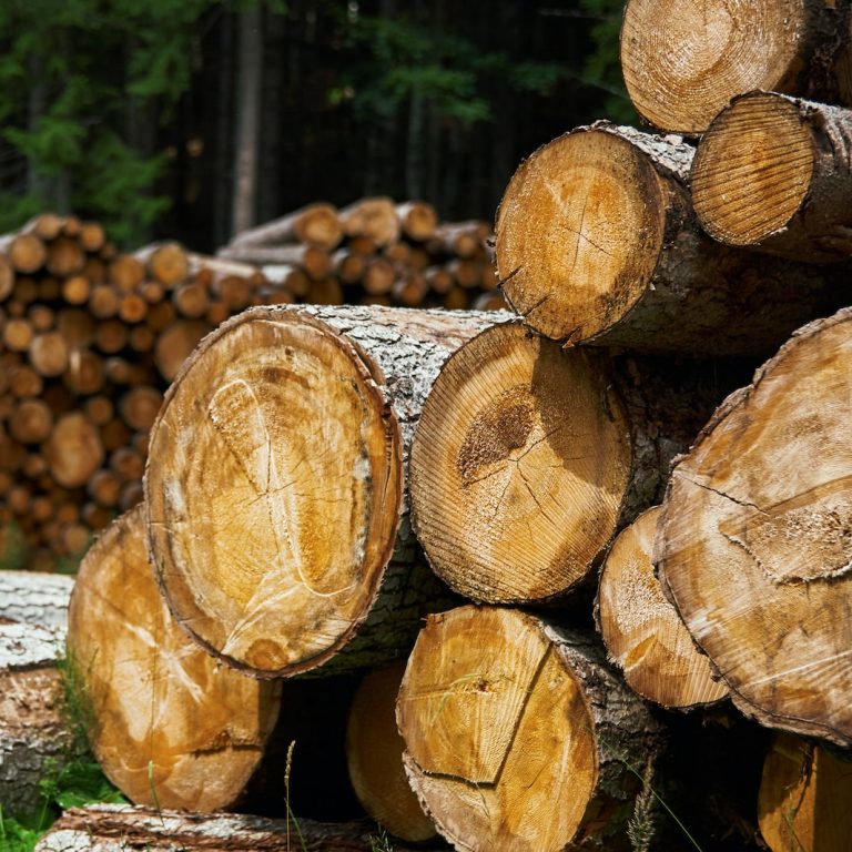 pile of log